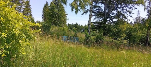  قطعة أرض في Sachsische Schweiz-Osterzgebirge, Germany رقم 277013 3