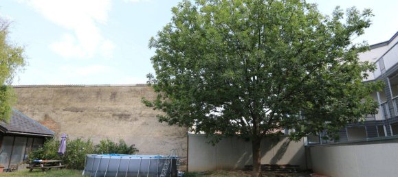  Land in Leobersdorf, Austria No. 123306 7