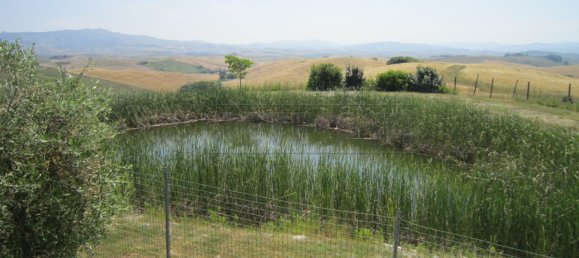 580m² Hotel in Montecatini Val di Cecina, Italy No. 327034 7