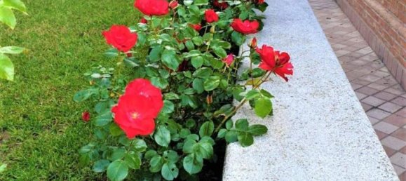 6 rooms Villa in Castelletto Monferrato, Italy No. 123240 7