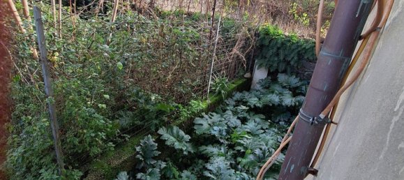 5 chambres Appartement à Tempio Pausania, Italy No. 165077 18