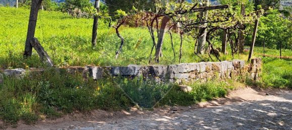 2 bedrooms House in Santiago de Piaes, Portugal No. 168024 23