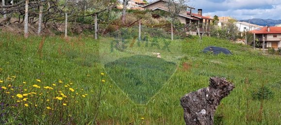 2 bedrooms House in Santiago de Piaes, Portugal No. 168024 15