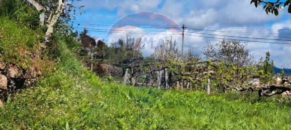 2 bedrooms House in Santiago de Piaes, Portugal No. 168024 6