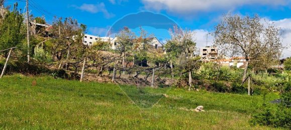 2 bedrooms House in Santiago de Piaes, Portugal No. 168024 19