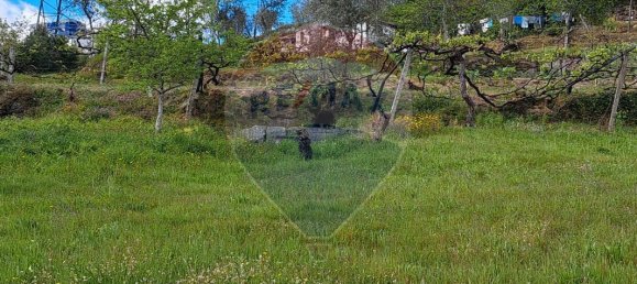 2 bedrooms House in Santiago de Piaes, Portugal No. 168024 8