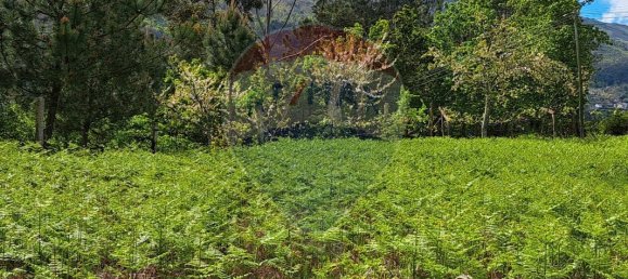 2 bedrooms House in Santiago de Piaes, Portugal No. 168024 14