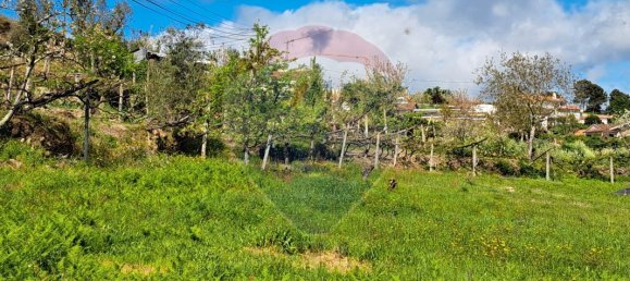 2 bedrooms House in Santiago de Piaes, Portugal No. 168024 20