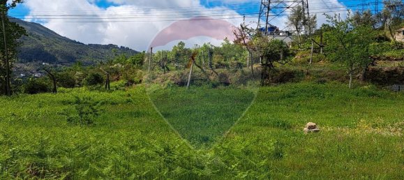 2 bedrooms House in Santiago de Piaes, Portugal No. 168024 16