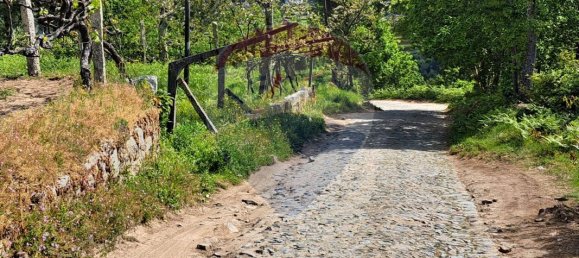 2 bedrooms House in Santiago de Piaes, Portugal No. 168024 10