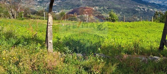 2 bedrooms House in Santiago de Piaes, Portugal No. 168024 7