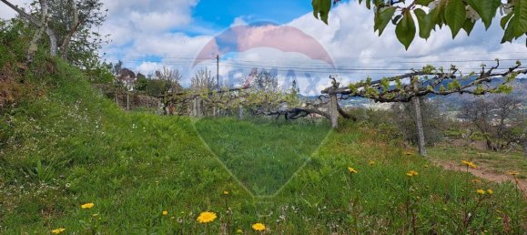 2 bedrooms House in Santiago de Piaes, Portugal No. 168024 21