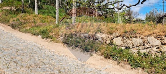 2 bedrooms House in Santiago de Piaes, Portugal No. 168024 11