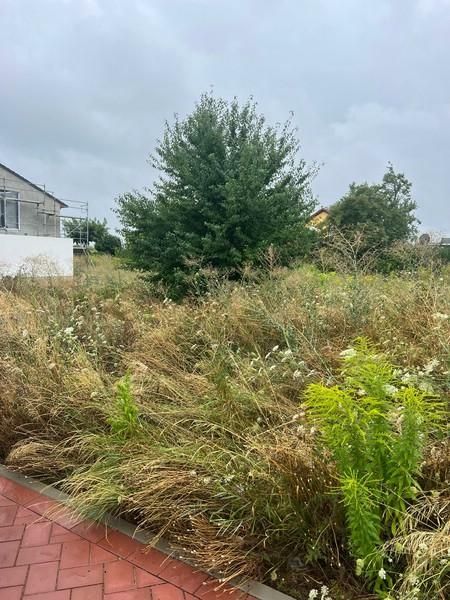  Land in Rhein-Pfalz, Germany No. 177569