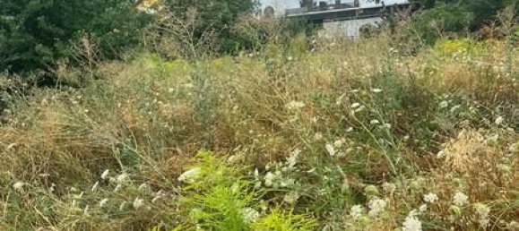  Land in Rhein-Pfalz, Germany No. 177569 3