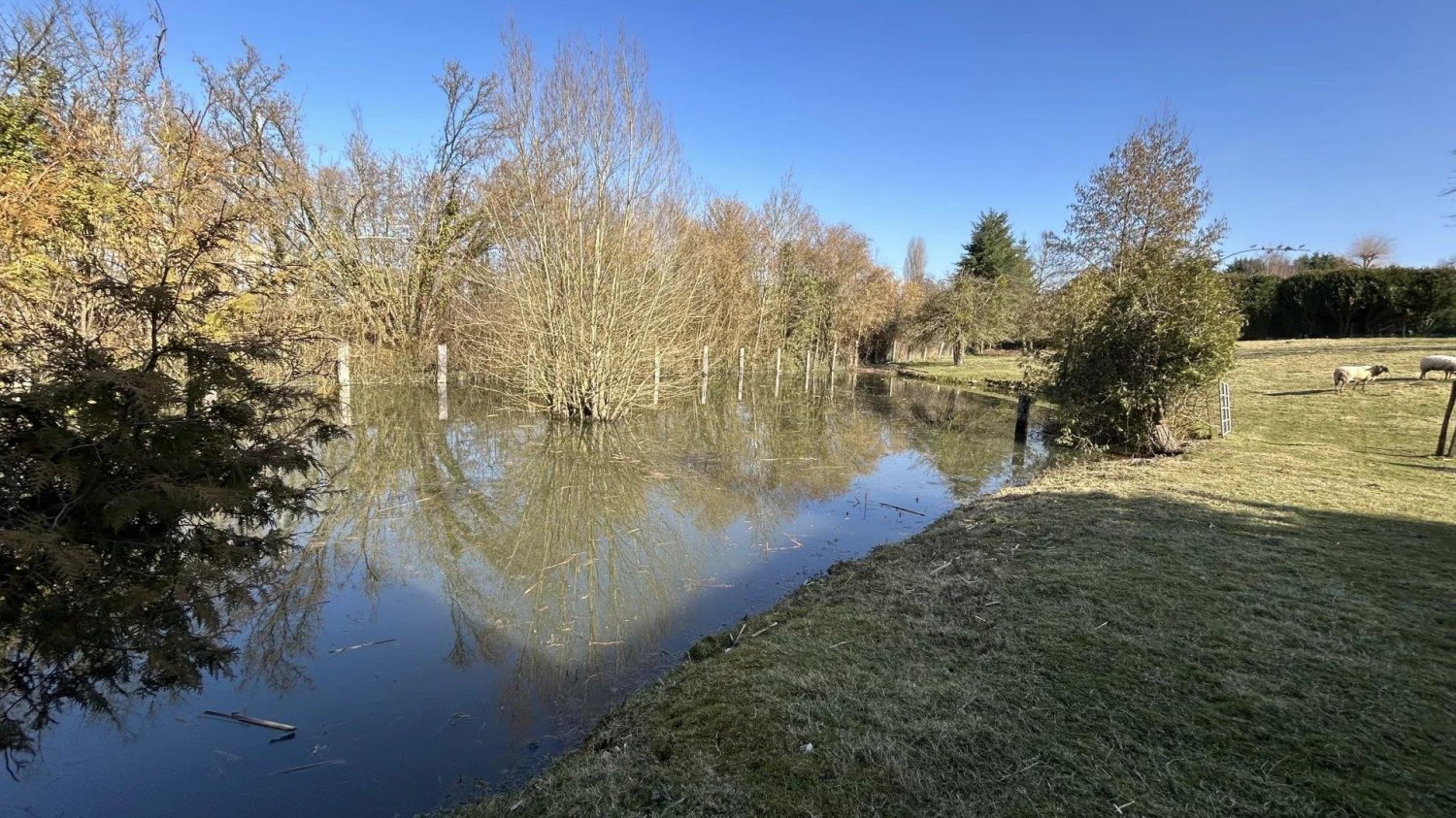 5 bedrooms House in Lisieux, France No. 307002