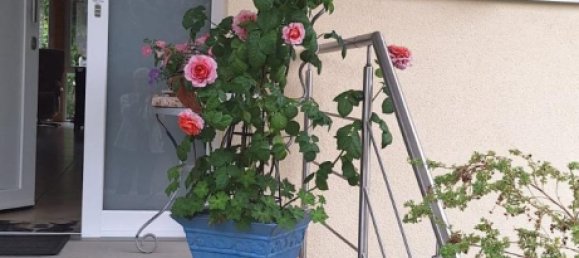 Дом с 7 комнатами в Брайсгау-Верхний Шварцвальд, Германия № 363140 7