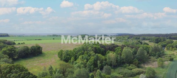 2 bedrooms Apartment in Vorpommern-Rugen, Germany No. 127928 10