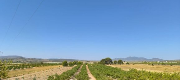 Terrain à Monovar, Spain No. 189108 2