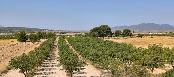Terrain à Monovar, Spain No. 189108 4