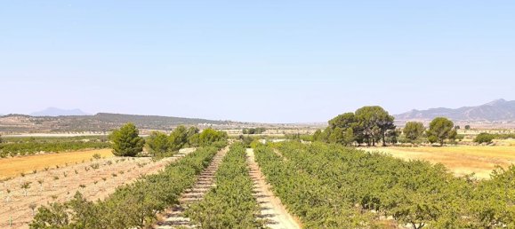 Terrain à Monovar, Spain No. 189108 5
