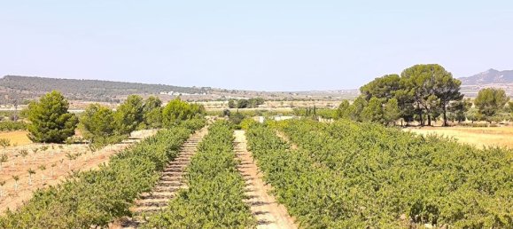 Terrain à Monovar, Spain No. 189108 6