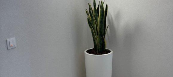 5 rooms Apartment in Treviso, Italy No. 216377 30