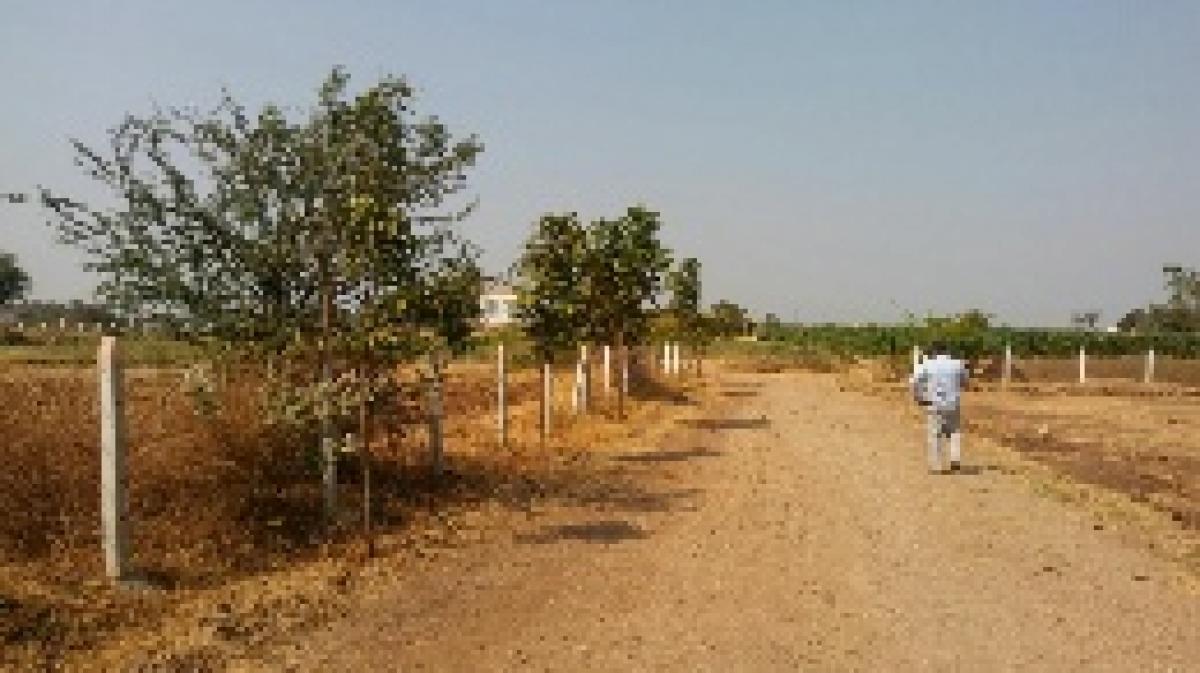  Land in Pune, India No. 29364