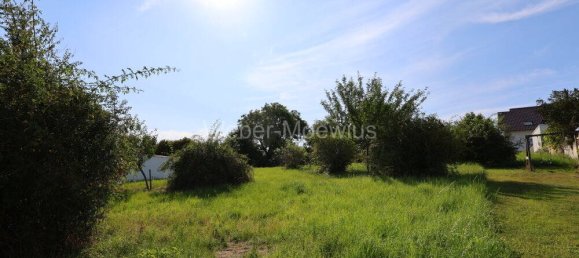  Land in Ahrweiler, Germany No. 272326 3