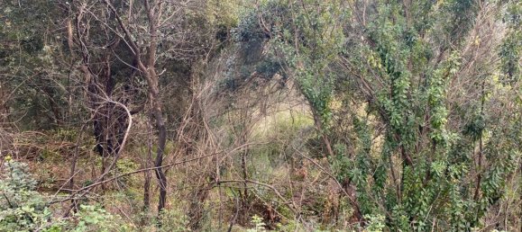  قطعة أرض في Baiao, Portugal 10000متر مربع رقم 53801 3