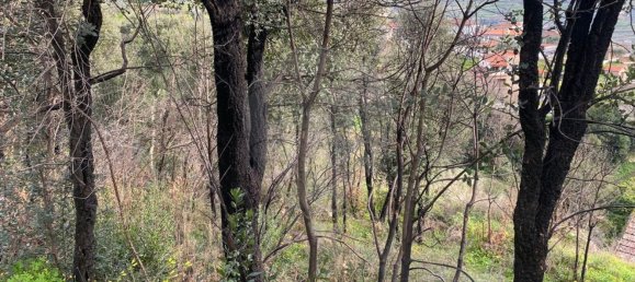  قطعة أرض في Baiao, Portugal 10000متر مربع رقم 53801 2