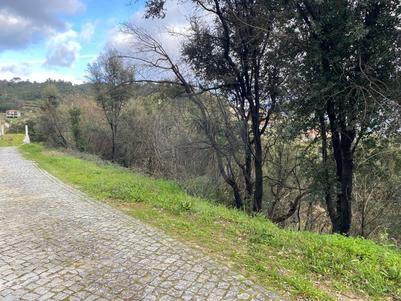  قطعة أرض في Baiao, Portugal 10000متر مربع رقم 53801