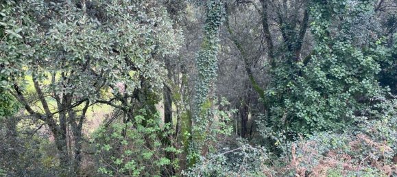  قطعة أرض في Baiao, Portugal 10000متر مربع رقم 53801 4