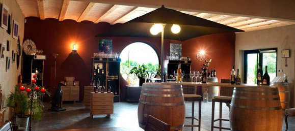 Castillos de 6 habitaciónes en Narbonne, France No. 292565 3