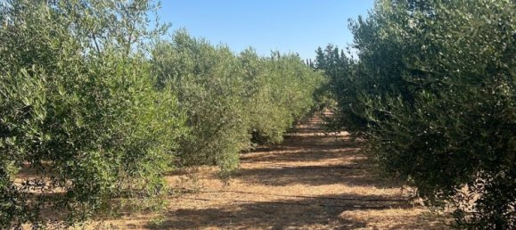 3 bedrooms House in Vejer de la Frontera, Spain No. 174128 15