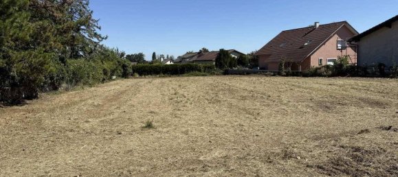 Land in Wollersdorf-Steinabruckl, Austria No. 240269 3