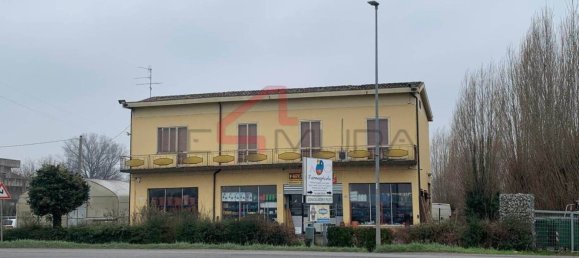 Коммерческая недвижимость с 5 комнатами в Ногара, Италия № 58179 2