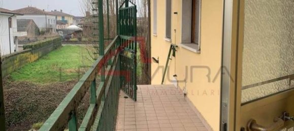 Коммерческая недвижимость с 5 комнатами в Ногара, Италия № 58179 23