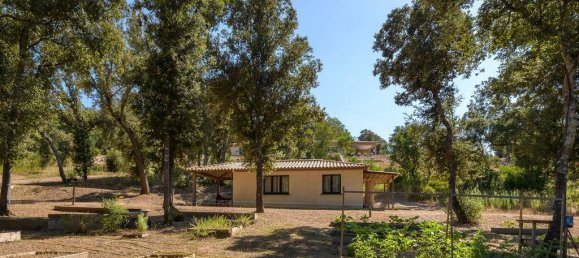 5 غرف نوم فيلا في Porto-Vecchio, France رقم 263784 22