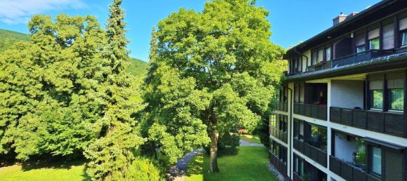 3 rooms Apartment in Baden, Austria No. 224165 13