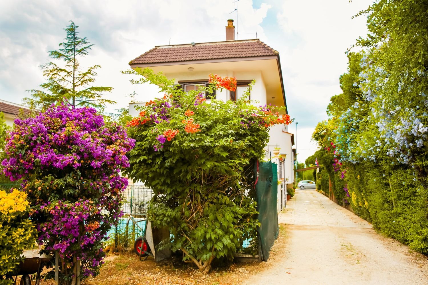 8-Zimmer Villa in Bari, Italy, Nr. 256885