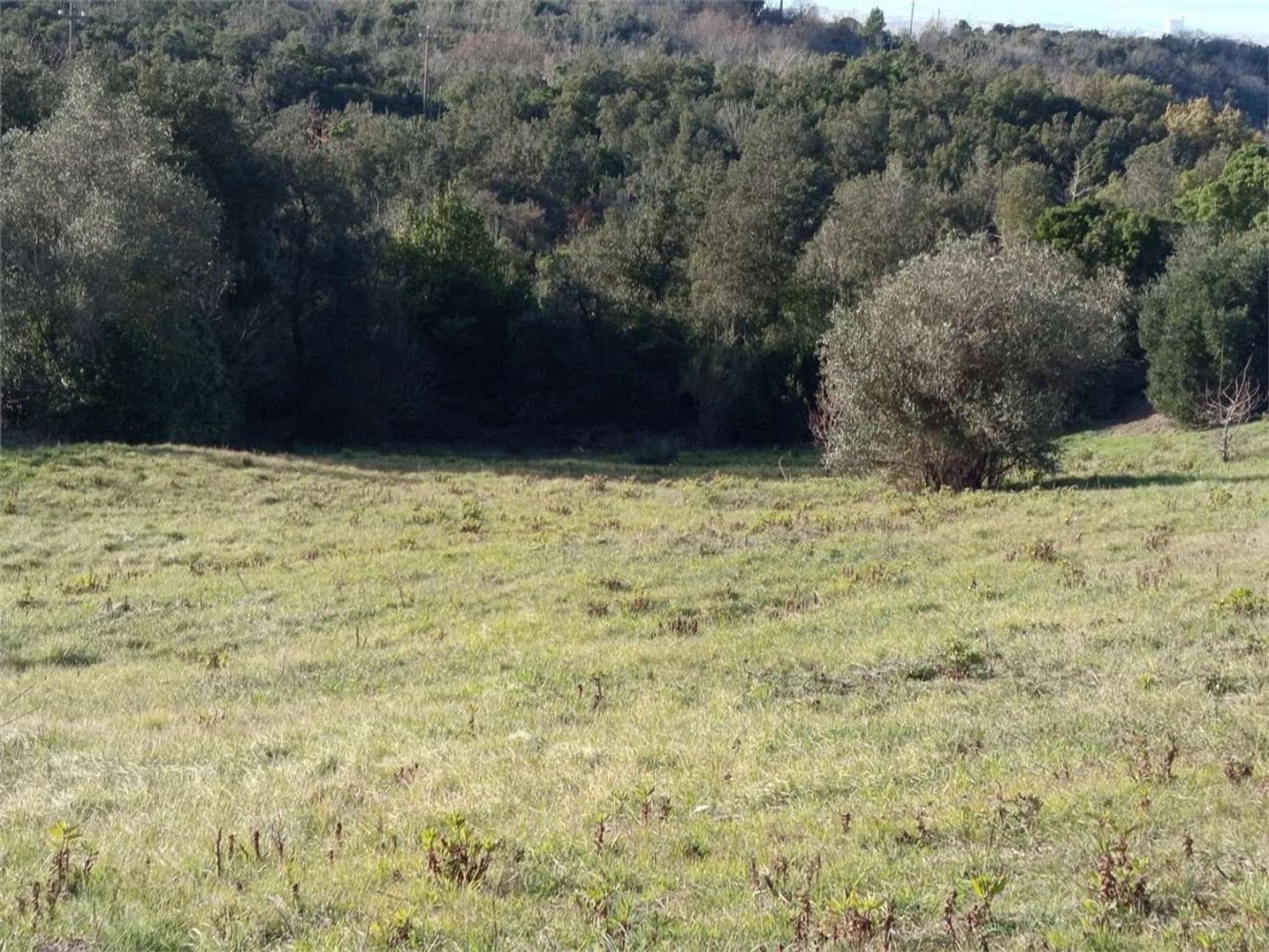  قطعة أرض في Livorno, Italy 2750متر مربع رقم 11130