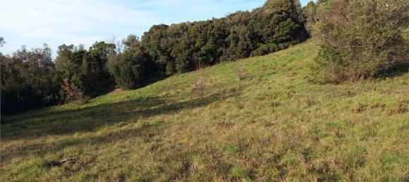 قطعة أرض في Livorno, Italy 2750متر مربع رقم 11130 8