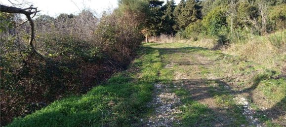 قطعة أرض في Livorno, Italy 2750متر مربع رقم 11130 14