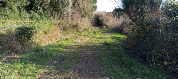 قطعة أرض في Livorno, Italy 2750متر مربع رقم 11130 13