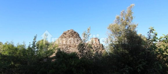 20000m² Land in Martina Franca, Italy No. 273527 4