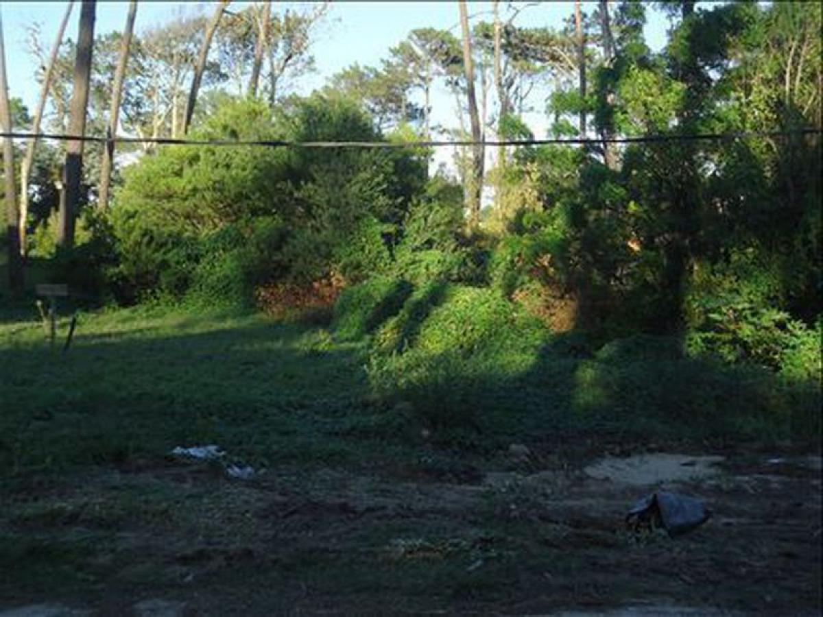 Grundstück in Maldonado, Uruguay, Nr. 15813