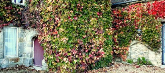 1 bedroom Duplex in Epernon, France No. 223885 2