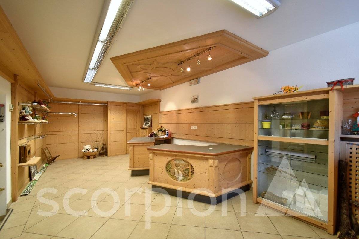 3 rooms Commercial property in Predazzo, Italy No. 164807