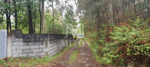 Grundstück in Viana do Castelo, Portugal 4388m², Nr. 75465 6